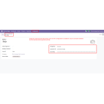 Enter the Customer ID and Secret Key, then save the configuration to securely connect the POS with the DOJO payment terminal.