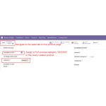 Assign the "Shows" POS category to the product from the Sales tab.