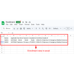Displays student enrollment records in an Excel-style view for easy review.